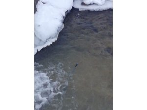 Uludağ'da kaybolan iki kişiyi arama çalışmalarında baton bulundu