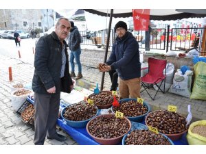 Simav kestanesine ilgi