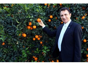 Akdeniz’den ihracat 13.5 milyar dolara ulaştı