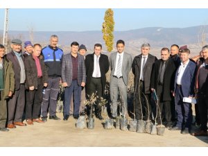 Demirci’de üreticilere ceviz desteği