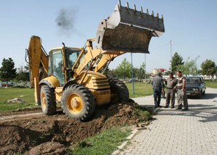 Köpek kurtarma operasyonu