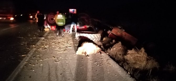 Tır ile traktör çarpıştı, koyunlar telef oldu