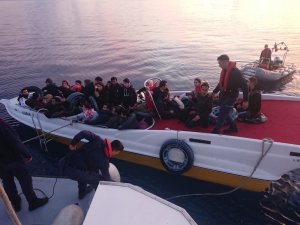 4 ilde insan kaçakçılarına şafak operasyonu: 6 gözaltı