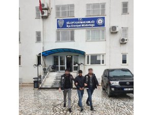 Silopi’de uyuşturucu operasyonu: 1 kişi tutuklandı