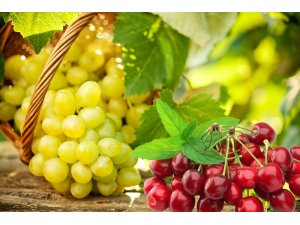 Yaş meyve sebze ve mamulleri UR-GE projeleriyle hedef pazarlara ihraç edilecek