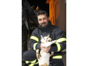 Kastamonu'da minarede mahsur kalan kediyi itfaiye kurtardı