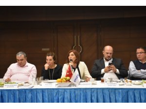 ANFAŞ - ETÜDER iş birliği