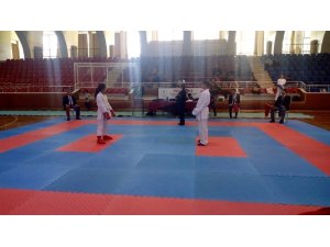 Aydın Analig Karate İl Karması seçmeleri yapıldı