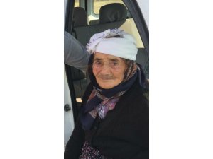 Yabani bir hayvan tarafından yüzü parçalanan kadın hayatını kaybetti