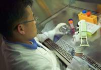 "Yenebilen" ambalaj üretildi