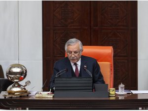 TBMM'den ABD Senatosunun "Ermeni kararı"na kınama