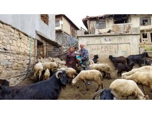 Kütahya’da ORKÖY projesiyle 144 aileye 3 milyon 804 bin TL. kredi desteği verildi