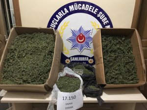 Şanlıurfa'da 17 kilo 150 gram esrar ele geçirildi