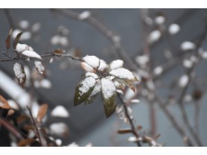 Doğuda soğuk hava etkili oluyor