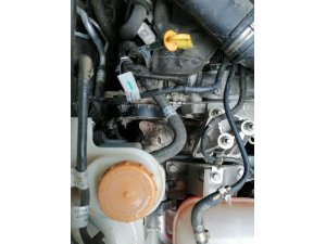 Kamyonetin motor kısmında sıkışan kediyi itfaiye kurtardı