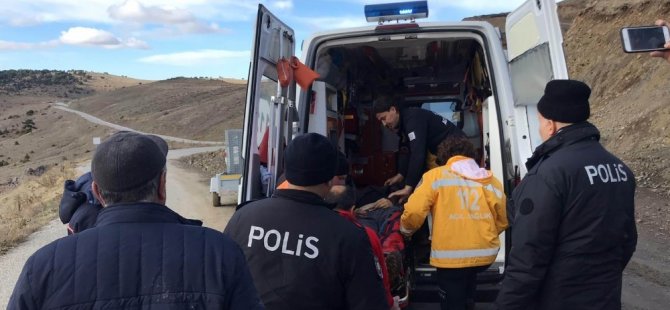 Avcı dağda hayatını kaybetti, köpeği başından ayrılmadı