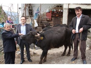 Giresun’da 321 işletmeye bin 477 manda ve 553 malak için 1 milyon 22 bin 493 TL ödeme yapıldı