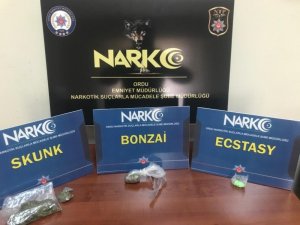 Fatsa ve Ünye’de esrar operasyonları: 2 tutuklama