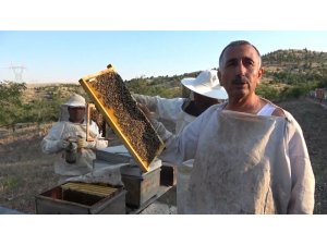 Lavanta balı yeni gelir kapısı oldu: kilosu 150 lira