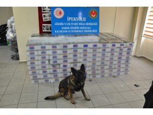 Habur Sınır Kapısı’nda 74 bin paket kaçak sigara ele geçirildi