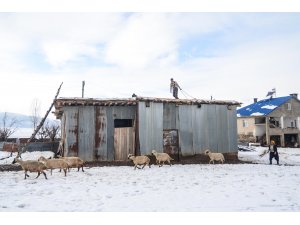 Ovacık'ta kış, zorlukları ve güzellikleriyle yaşanıyor