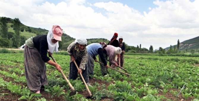 16 binden fazla topraksız çiftçi toprak sahibi oldu