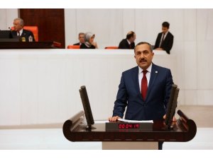 Van Milletvekili Arvas, bütçe görüşmelerinde AK Parti grubu adına konuştu