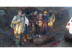 Karaman'da yaban domuzu avı