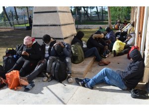 Didim’de 46 göçmen yakalandı