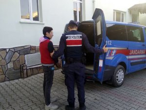 Jandarma İzmir’de oto faresini enseledi