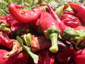 Acı kırmızı biber tüketmek kalp krizi ve inme riskini azaltabilir