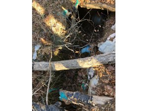 Bitlis ve Siirt'teki "Kıran-8 Sehi Ormanları Operasyonu"