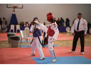 Bayraklı’da taekwondo şampiyonası