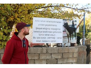 Hayvanseverden köpeğini şikayet edenlere pankartlı sitem