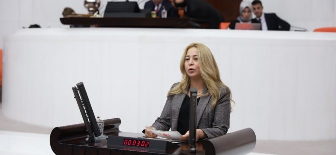 Milletvekili Esin Kara: “Ara eleman sorunu çözülmeli”