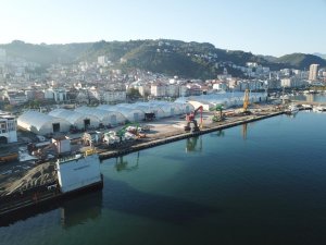 Giresun Limanı'na demirleyen gemi sayısında rekor artış