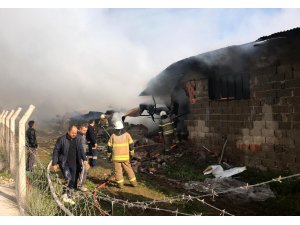 GÜNCELLEME - İzmir'de mobilya tesisinde yangın