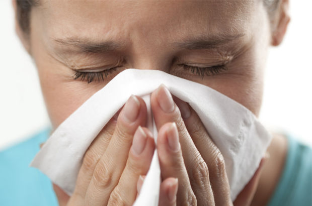 Ürdün’de domuz gribinden 6’ncı ölüm