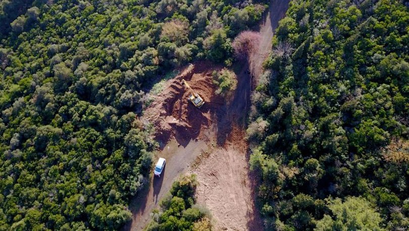 Büyükada’da itlaf edilen atların gömüldüğü dev çukurlar havadan görüntülendi