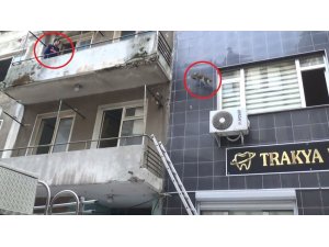 İnatçı kedi itfaiyecileri pes ettirdi