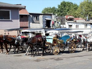 Adalar'da faytonlara at koşulması 3 ay süreyle durduruldu