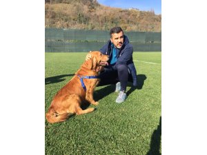 Alper Avcı: "Daha iyi yerde olabilirdik"