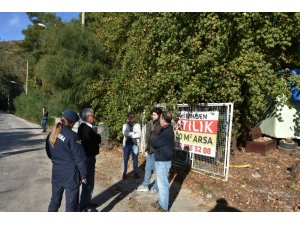 Marmaris’te sahipli köpekler zehirlendi