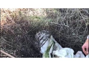 Diyarbakır’da Kıran-11 Operasyonu başlatıldı