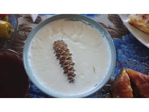 Şifa kaynağı Çukurca yoğurdu marka olma yolunda