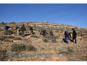 15 bin kekik toprakla buluştu