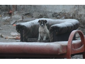 Ardahan'da çocuklar "en soğuk ilçe" de kızak keyfi yaptı