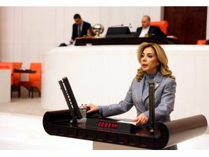 AK Partili Gökçan, “Milas’a doğalgaz verilmesi için çalışmalarımız devam ediyor”