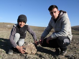 Nohut ektiler göktaşı hasat ettiler