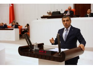 Milletvekili Taşdoğan, bütçe görüşmelerinde konuştu